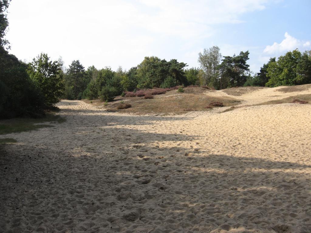 Landhuisjes Bij De Wouterbron Opglabbeek ภายนอก รูปภาพ