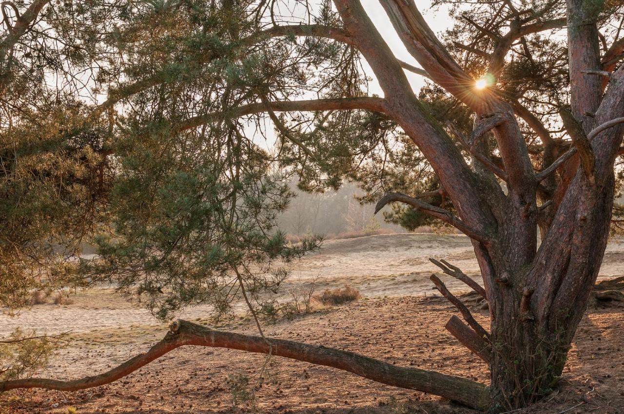 Landhuisjes Bij De Wouterbron Opglabbeek ภายนอก รูปภาพ